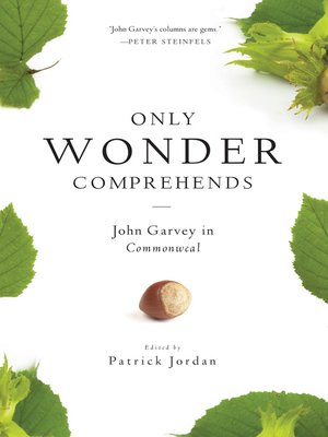 cover image of Only Wonder Comprehends